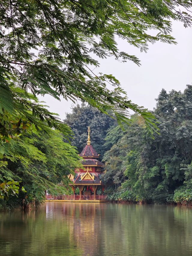 在版納！一天玩遍曼聽公園和總佛寺！附攻略