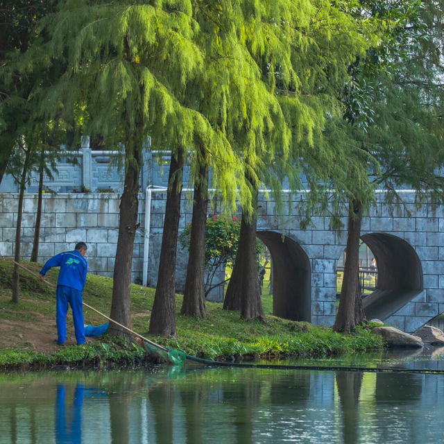 在深圳這座公園，找到了我的精神庇護區🍃