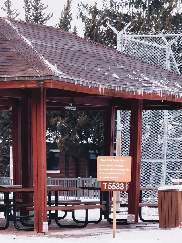 눈 내리는 날엔 용산공원으로❄️❄️ 