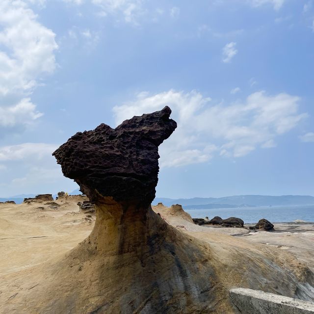 走到台灣北部盡頭-野柳地質公園