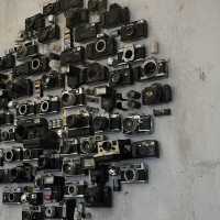 Camera Gallery 📷