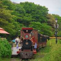 ECOLAND 森林小火車：春天好去處，適合情侶、閨蜜、全家大小