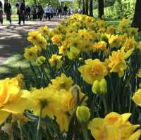 "Keukenhof: A Floral Wonderland for Flower Lovers"