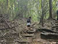 Doi Suthep Hiking Trail (Wat Pha Lat) 