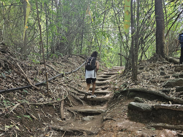 Doi Suthep Hiking Trail (Wat Pha Lat) 