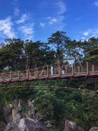 【静岡🇯🇵】自然の歴史を感じさせる城ヶ崎海岸