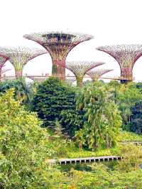 Exploring the Enchantment of Gardens by the Bay