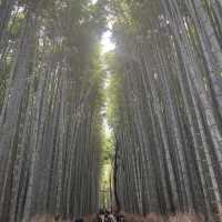 A Day in Kyoto Through the Zen 