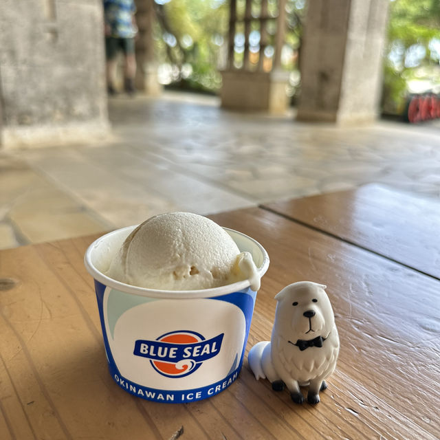 Fun places and great food to try in Okinawa 