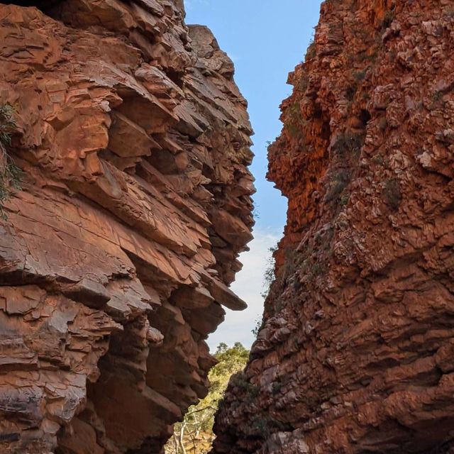 Journey into the Heart of Simpsons Gap