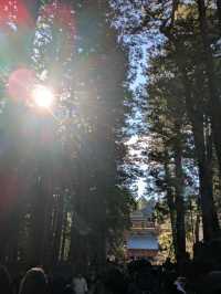 【初詣】北口本宮冨士浅間神社