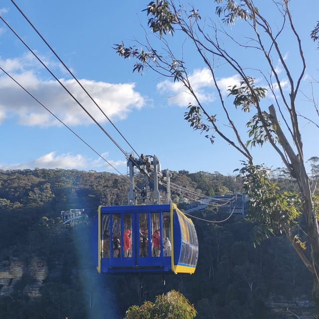 Lost in Nature’s Glory - Exploring the Majestic Blue Mountains National Park!