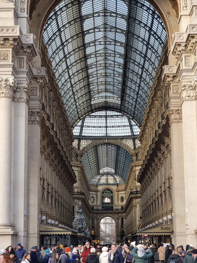 Duomo di Milano: A Majestic Journey Through Milan’s Heart and Skyline