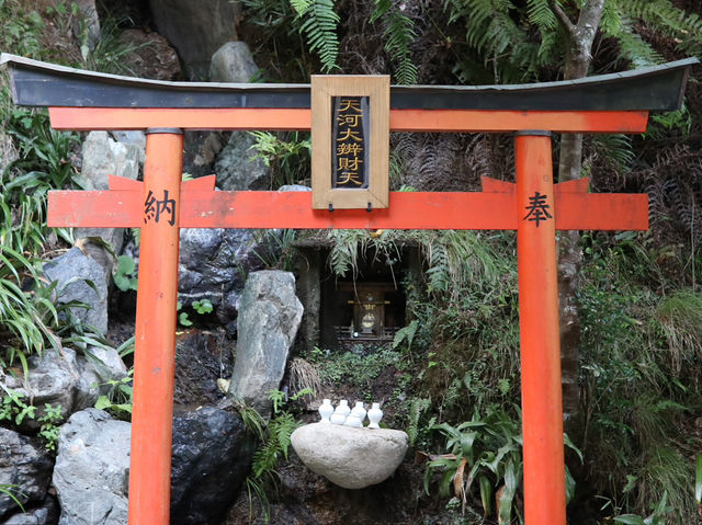 Discover the Whimsical Charm of Otagi Nenbutsuji Temple