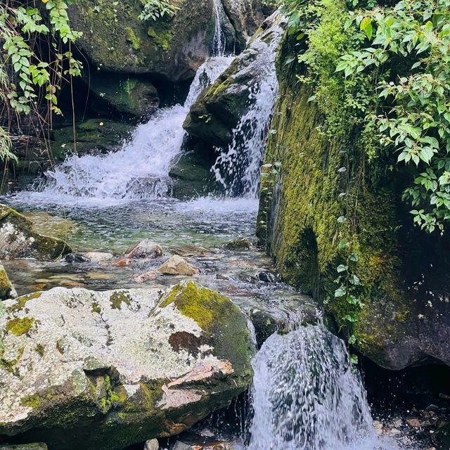 🏞️Escape and breathe on CangShan mountain🏕️ 