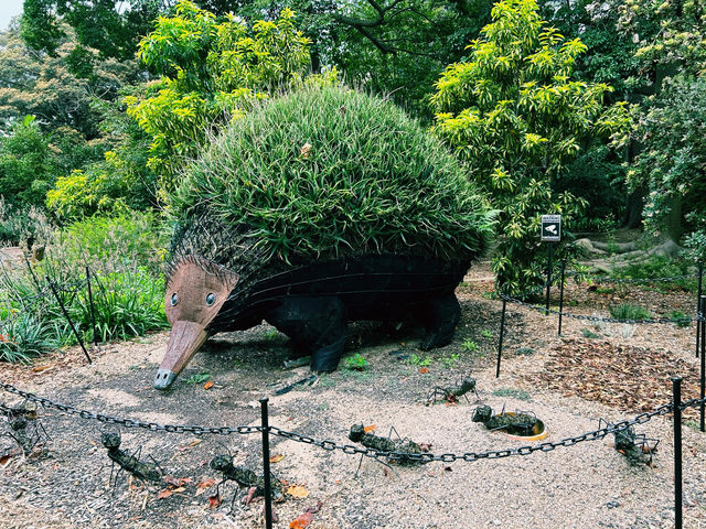 植物王國澳洲國家植物園｜探索澳洲的自然寶藏。