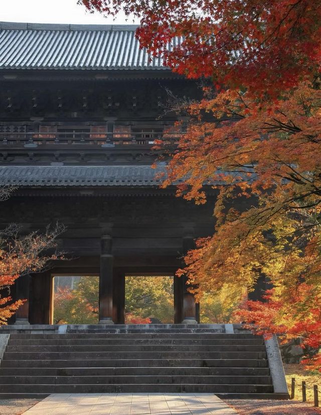 京都 秋日裡最美的寺廟庭院合集。