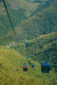 宜興挖筍之旅|南山竹海全玩但最輕鬆路線。