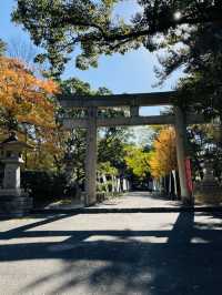 日本·和歌山城。