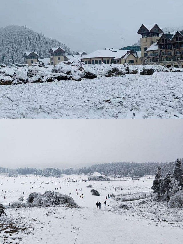 重慶仙女山睇雪一日遊詳細攻略。