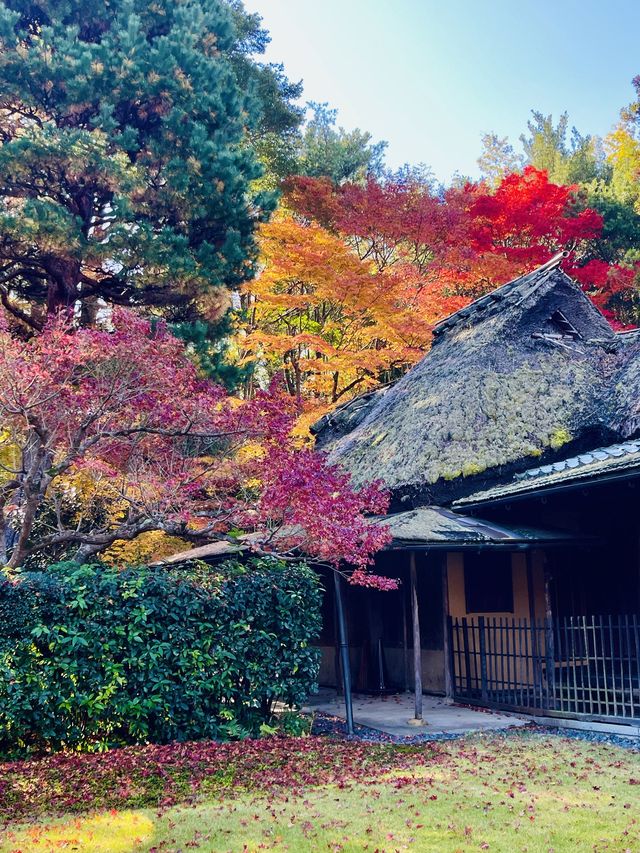 日本·奈良吉城園