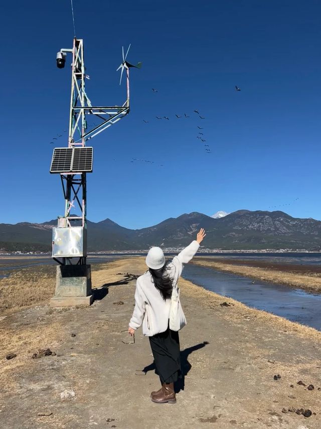 雲南麗江