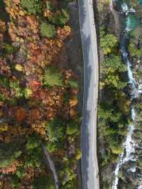 老友同行建議九寨溝-黃龍風景名勝區 帶你遺世獨立的美景