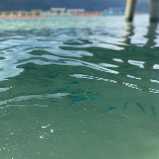 Don't worry, beach happy at Tioman Island 