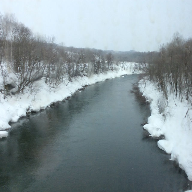 Niseko's Snowy Serenity: 2015 Chronicles