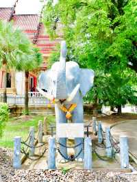 The Largest, Most Honored & Most Visited Buddhist Temple in Phuket🇹🇭✨