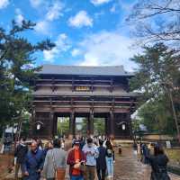 Winter Wanderlust: A 7-Day Journey Through Osaka, Kyoto, and Nara