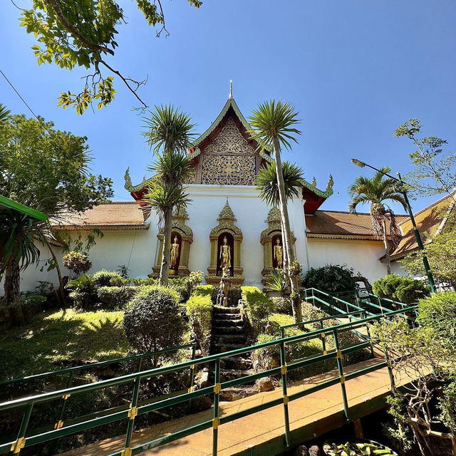 Discover the Serenity of Doi Suthep