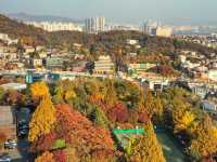 高端奢華與城市美景：Grand Hyatt Seoul的理想選擇