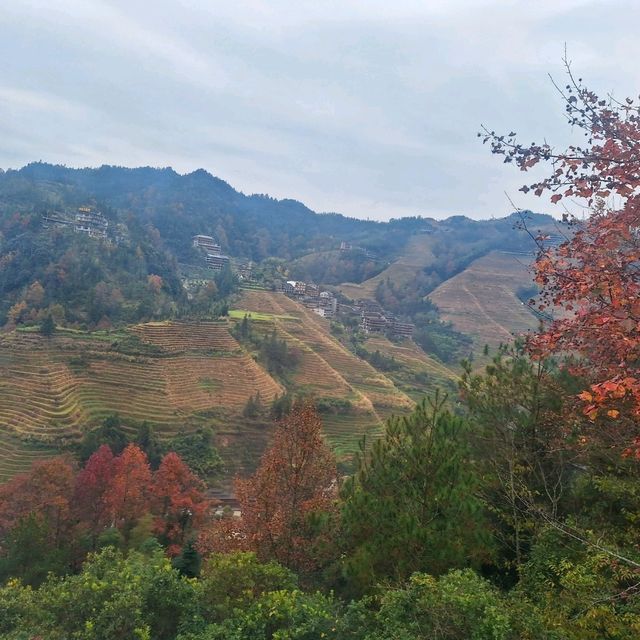 桂林冬季輕奢之旅 Day 3 (Part 2 - 當地一天遊：黃洛紅瑤寨、金坑大寨索道、金佛頂)