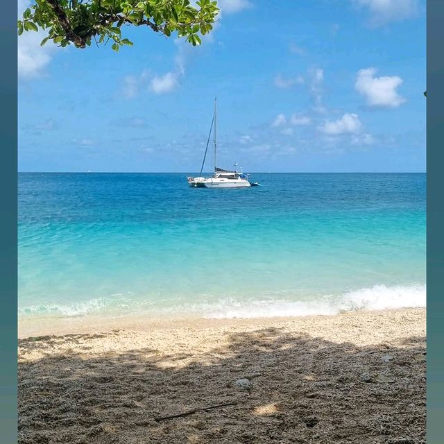 Fitzroy Island, Cairns