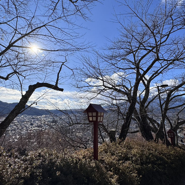 Mount Fuji Views in December