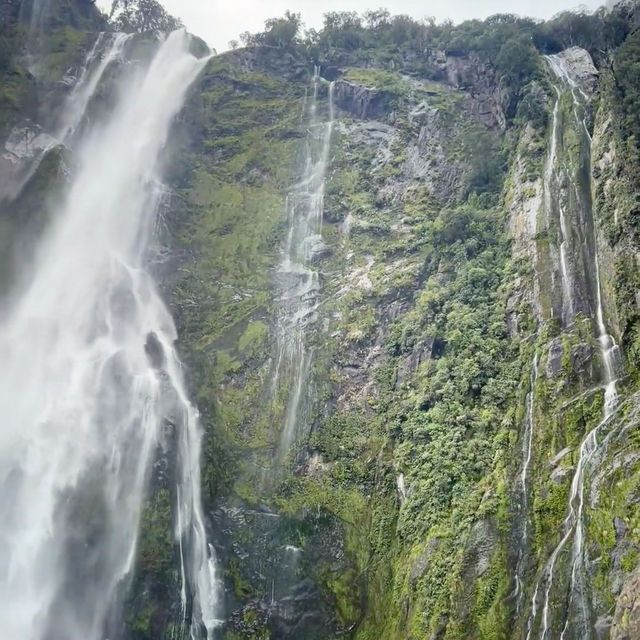 Milford Sound Unveiled: A Journey Through New Zealand’s Natural Wonderland!