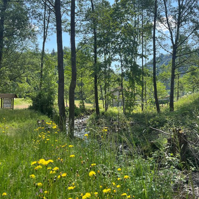 Hotel Hofgut Sternen-relax and hiking spot 🇩🇪