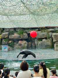 雲南野生動物園一日遊