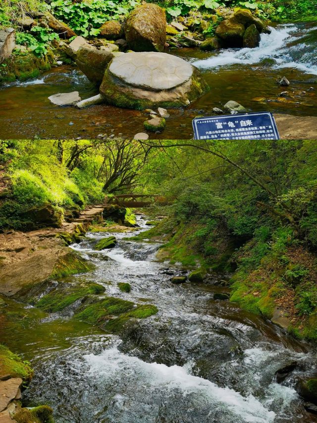 六盘山國家森林公園