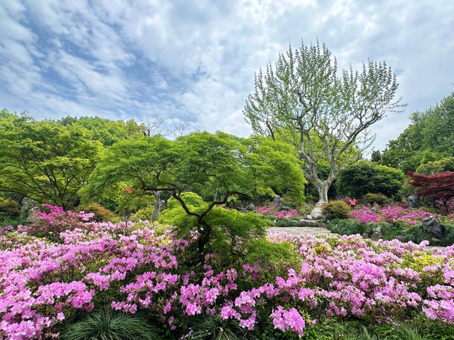 溜娃絕佳地，本地人的選擇，長風公園