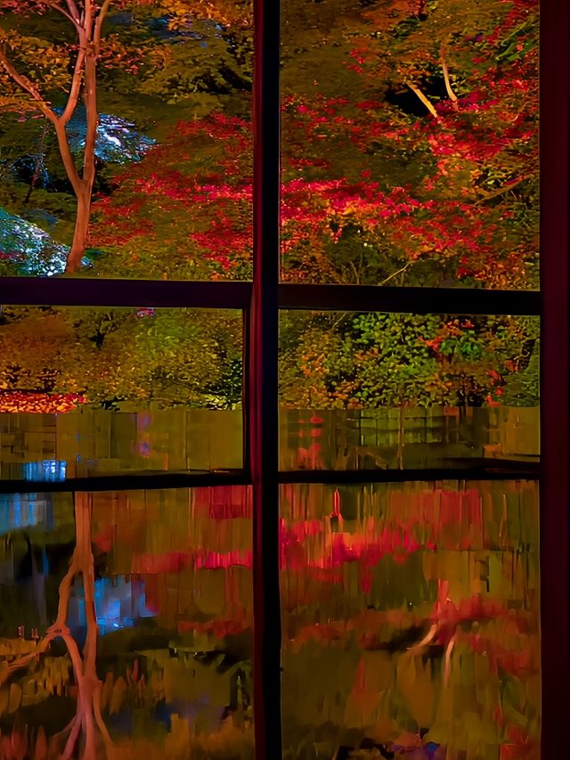 瑠璃光院：京都的隱世之美與四季流轉的禪意庭園。