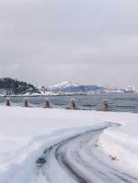 煙台雪景，美得令人窒息！