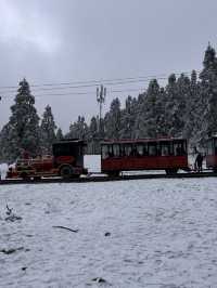 仙女山·在雪舞的世界，感受仙女山的純白童話