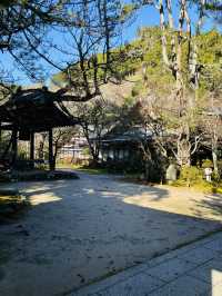 日本·京都高雄西明寺