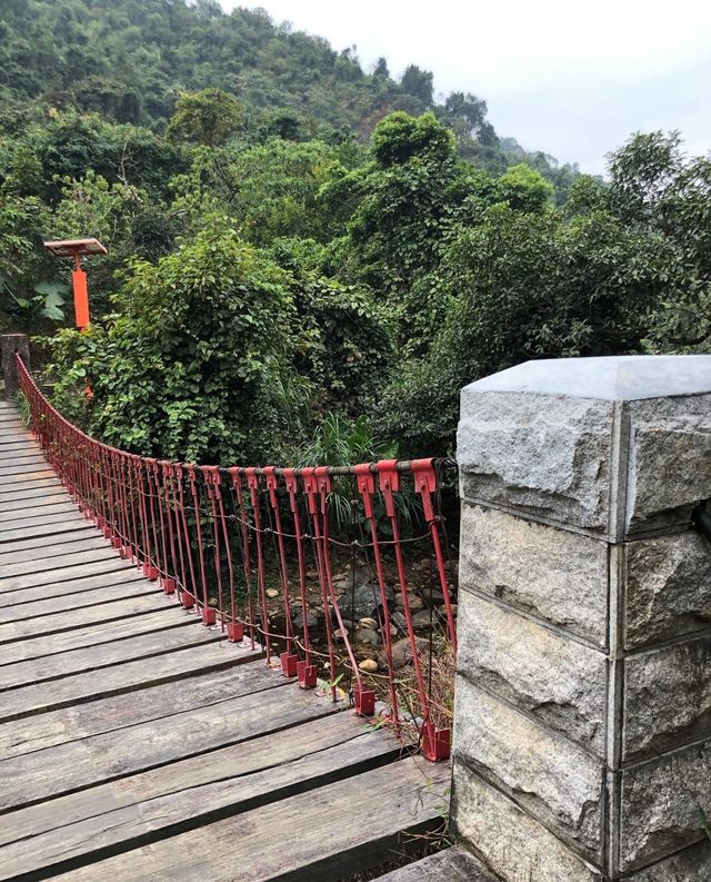 深圳登山——梧桐山（十八）