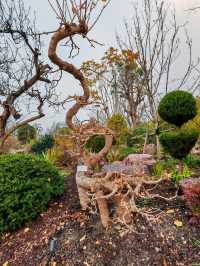 世界花藝園之禪境園和岩石花園