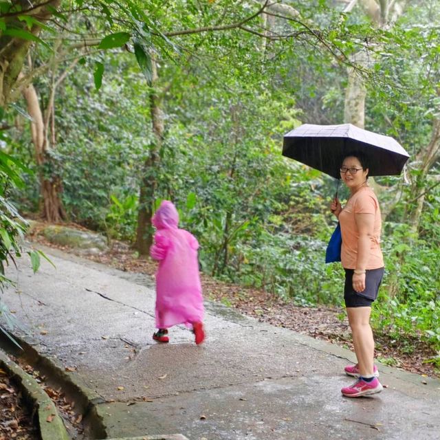 雨中行山 山頂花園