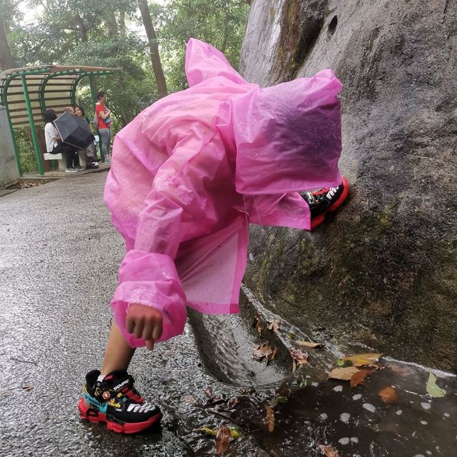 雨中行山 山頂花園