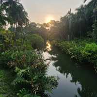  The hidden gem of Kingfisher Wetlands at Gardens by the Bay 🇸🇬